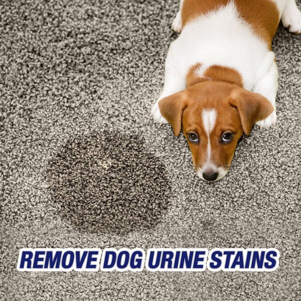 Resolve Urine Destroyer Stain & Odor Remover Spray, 32 oz