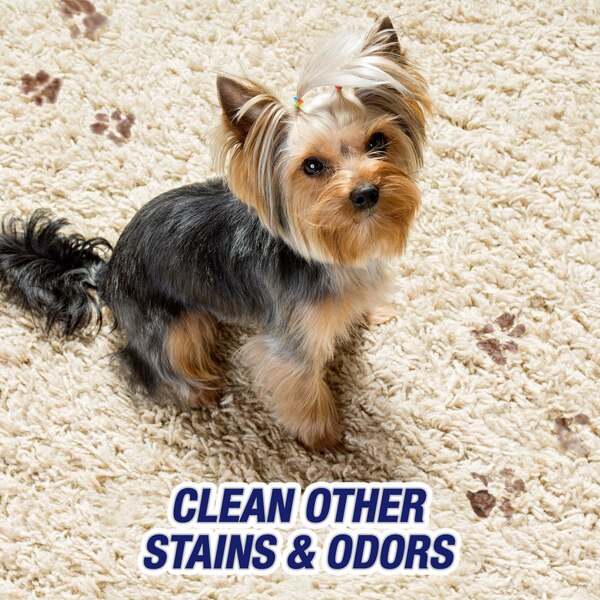 Resolve Urine Destroyer Stain & Odor Remover Spray, 32 oz