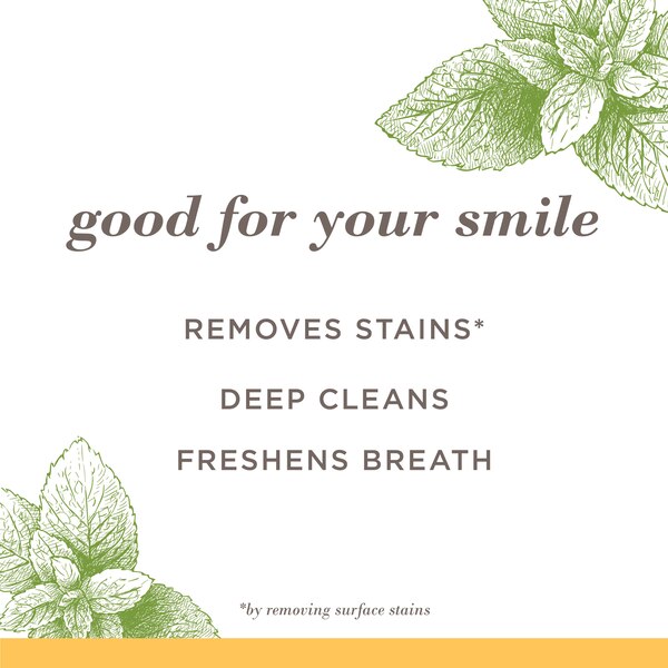 Burt's Bees Toothpaste, Natural Flavor, Fluoride-Free, Purely White, Zen Peppermint, 4.7 oz