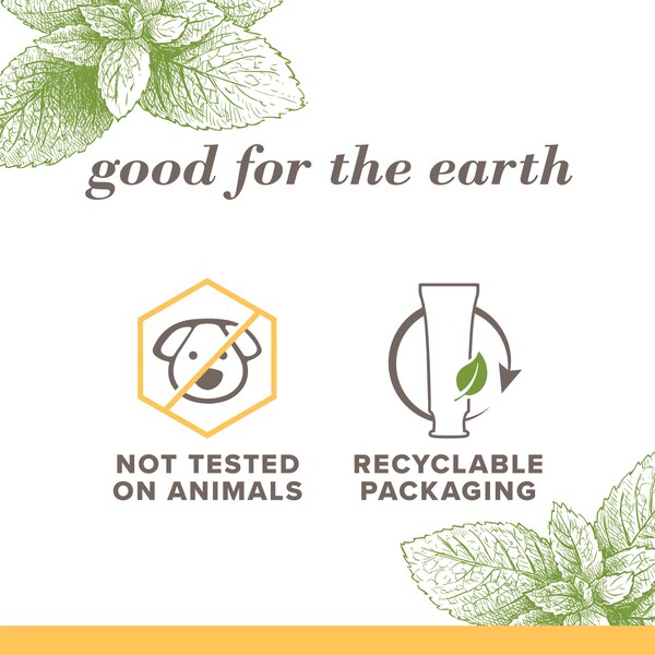 Burt's Bees Toothpaste, Natural Flavor, Fluoride-Free, Purely White, Zen Peppermint, 4.7 oz