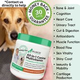 Balanced Breed All-In-1 Canine Multivitamin Soft Chews, Peanut Butter & Banana, 60 ct , thumbnail image