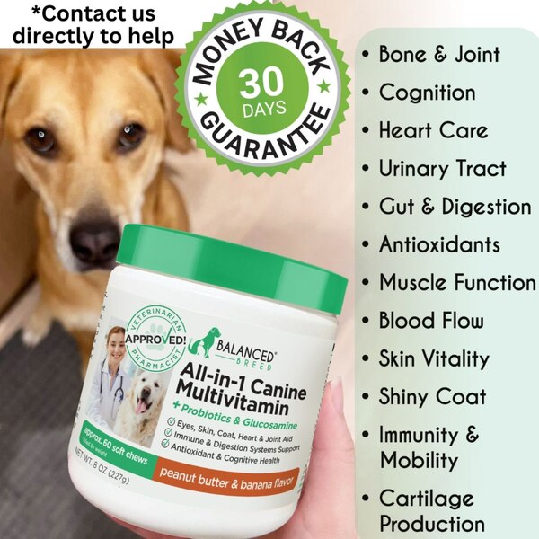Balanced Breed All-In-1 Canine Multivitamin Soft Chews, Peanut Butter & Banana, 60 ct 
