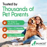 Balanced Breed All-In-1 Canine Multivitamin Soft Chews, Peanut Butter & Banana, 60 ct , thumbnail image