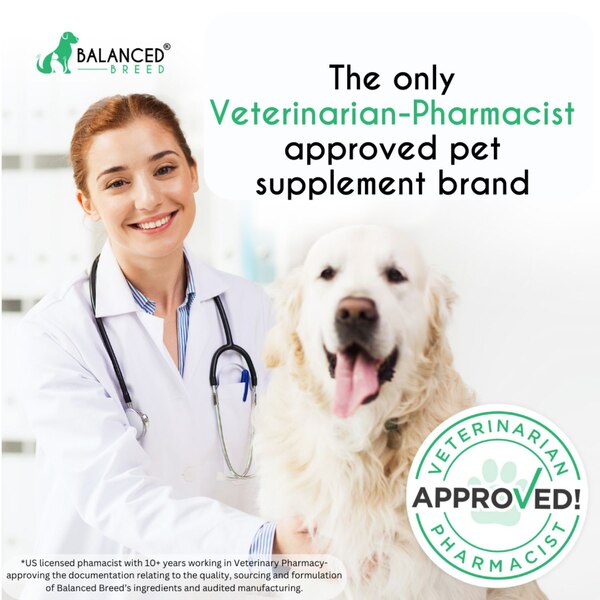 Balanced Breed All-In-1 Canine Multivitamin Soft Chews, Peanut Butter & Banana, 60 ct 
