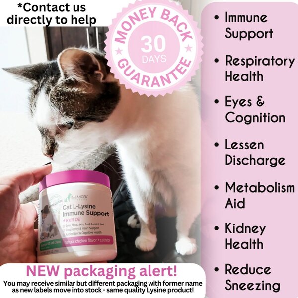 Balanced Breed Cat L-Lysine Immune Support Soft Chews, Chicken & Catnip, 60 ct
