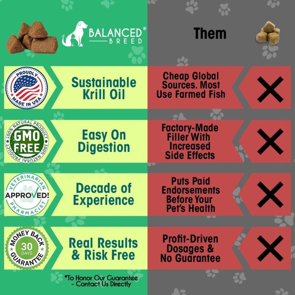 Balanced Breed Cat L-Lysine Immune Support Soft Chews, Chicken & Catnip, 60 ct