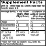 Digestive Advantage Daily Probiotic Gummies, thumbnail image