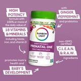 Rainbow Light Prenatal One Daily Multivitamin, 60 CT, thumbnail image