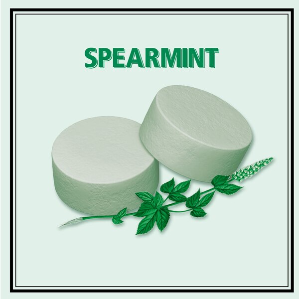 ALTOIDS Spearmint Sugar Free Breath Mints, Single Pack, 1.76 oz
