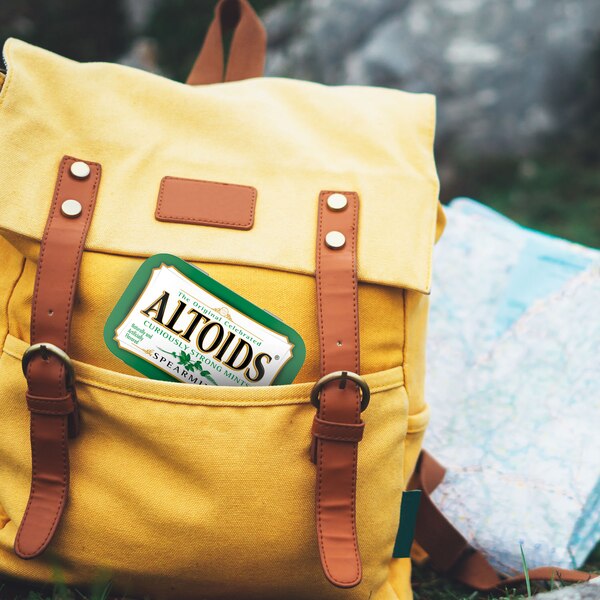 ALTOIDS Spearmint Sugar Free Breath Mints, Single Pack, 1.76 oz