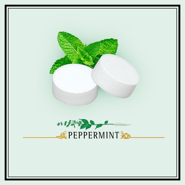 Altoid Mints, 1.76 oz