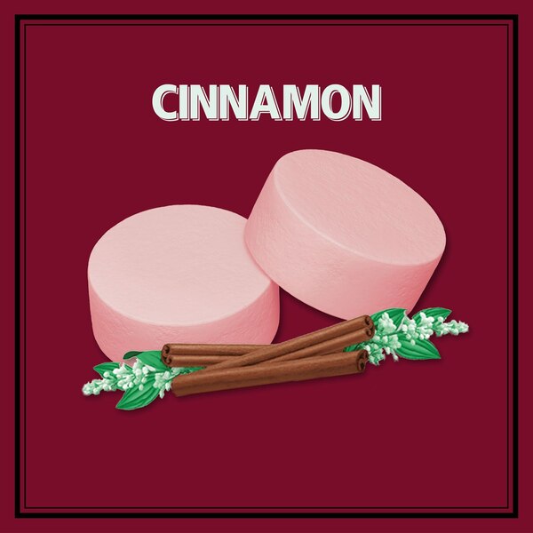 Altoid Mints, 1.76 oz