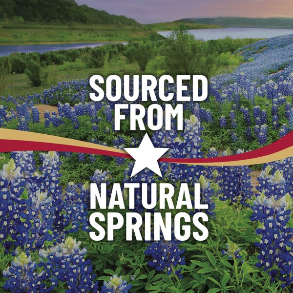 ozarka 100% Natural Spring Water Plastic Jug, 101.4 oz