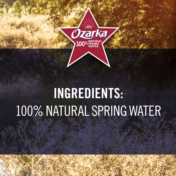 ozarka 100% Natural Spring Water Plastic Jug, 101.4 oz