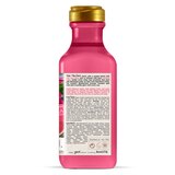 Maui Moisture Lightweight Hydration + Hibiscus Water Shampoo, 13 OZ, thumbnail image