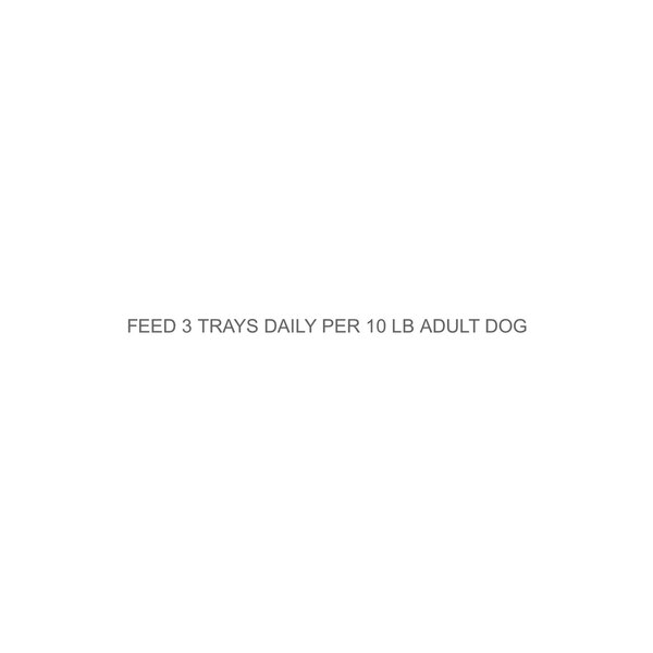 Cesar Savory Delights Filet Mignon Flavor with Bacon & Potato Dog Food Trays, 3.5 OZ