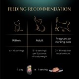 Sheba Perfect Portions Wet Cat Food Pate, Gourmet Salmon Entree, 2 Servings, thumbnail image