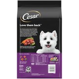 Cesar Dry Dog Food, Filet Mignon Flavor with Vegetables, 5 lb, thumbnail image