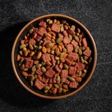 Cesar Dry Dog Food, Filet Mignon Flavor with Vegetables, 5 lb, thumbnail image