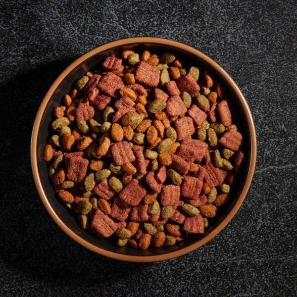 Cesar Dry Dog Food, Filet Mignon Flavor with Vegetables, 5 lb