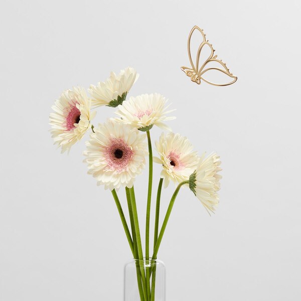 The Hair Edit Gilded Wing Claw Clip, Gold, 1 CT