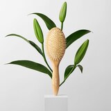 The Hair Edit The Glossifier Boar Bristle Bamboo Hair Brush, thumbnail image