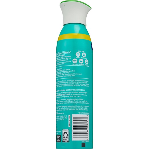 Scrubbing Bubbles® Easy Clean Multi-Surface Foam Bathroom Cleaner, 13.5 oz