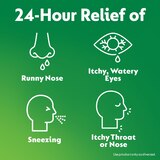 Children's Zyrtec Allergy Dye-Free Chewables, thumbnail image