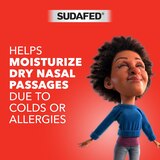 Sudafed Non-Medicated Saline Nasal Mist with Aloe, 3 OZ, thumbnail image