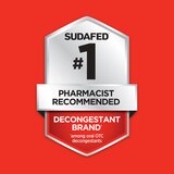 Sudafed Sinus Congestion 12HR Non-Drowsy Caplets, 10 CT, thumbnail image