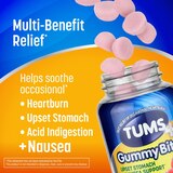 TUMS+ Upset Stomach Support, 45 CT, thumbnail image