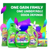 Gain Flings Laundry Detergent Pacs + Odor Defense, Super Fresh Blast Scent, 60 ct, thumbnail image