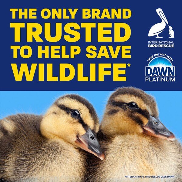 Dawn Platinum Liquid Dish Soap, Fresh Rain Scent, 54.8 oz