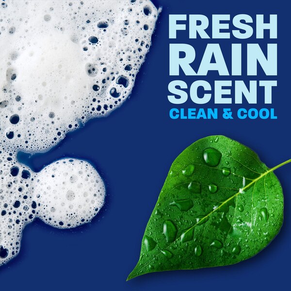 Dawn Platinum Liquid Dish Soap, Fresh Rain Scent, 54.8 oz