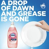 Dawn Gentle Clean EZ-Squeeze Dish Soap, Pomegranate Rose Water, 18 OZ, thumbnail image 3 of 3