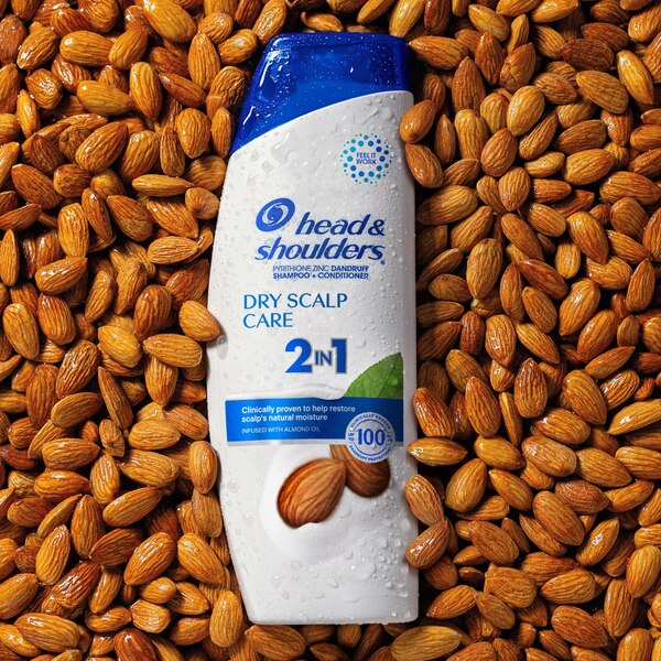 Head & Shoulders Dry Scalp Care 2-in-1 Dandruff Shampoo & Conditioner