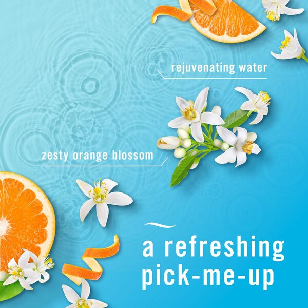 Febreze PLUG Air Freshener Scented Oil Refill, Refresh & Energize Scent, 2 ct