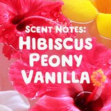 Gain Super Flings Laundry Detergent, Happy Hibiscus Hula, 25 ct, thumbnail image