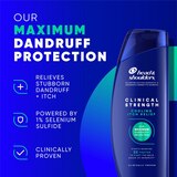 Head & Shoulders Clinical Strength Dandruff Defense Intensive Itch Relief Shampoo, 13.5 OZ, thumbnail image