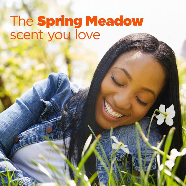 Tide Liquid Laundry Detergent, Spring Meadow Scent, 84 oz