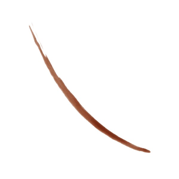 Revlon Colorstay Semi-Permanent Brow Ink