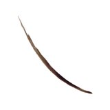 Revlon Colorstay Semi-Permanent Brow Ink, thumbnail image