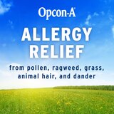 Opcon-A Allergy Relief Eye Drops, 0.5 OZ, thumbnail image 4 of 8