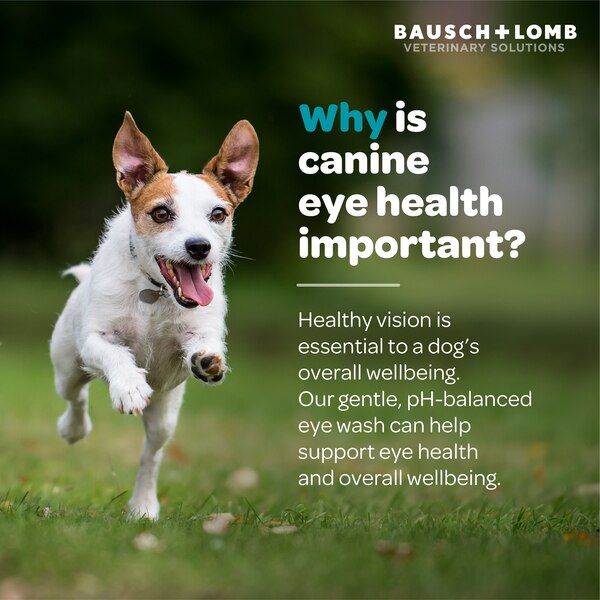 Eye Wash for Dogs by Project Watson, Fragrance Free, 4 Fl Oz