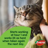 Zyrtec 24HR Allergy Relief Tablets, 10mg Cetirizine HCl, thumbnail image