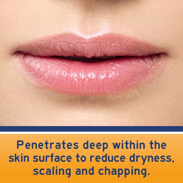 Neosporin Lip Health Overnight Renewal Therapy White Petrolatum Lip Protectant