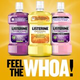 Listerine Antiseptic Mouthwash for Bad Breath, Plaque, and Gingivitis, Original, thumbnail image 5 of 6