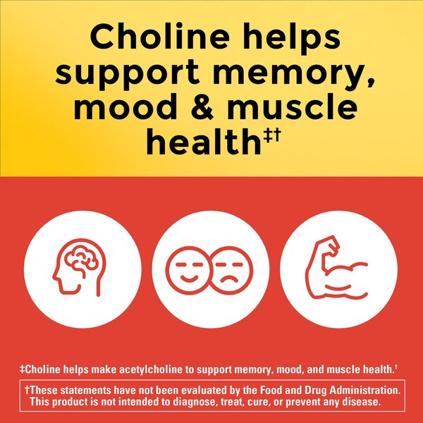 Nature Made Extra Strength Dosage Choline Supplement Capsules 800 Mg, Brain Support, 60 CT