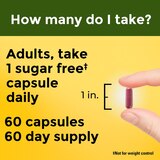 NATURE MADE CRANBERRY CAPSULES 500MG 60CT, thumbnail image