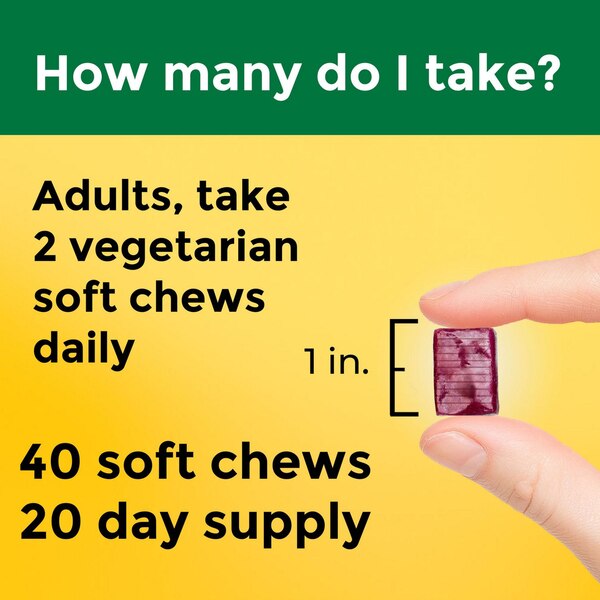 Nature Made Magnesium Soft Chews, 40 CT